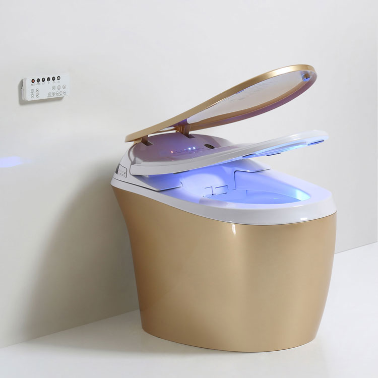 Auto cleaning functional automatic smart toilet