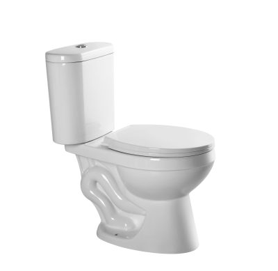 Ceramic siphonic and washdown ceramic toilet