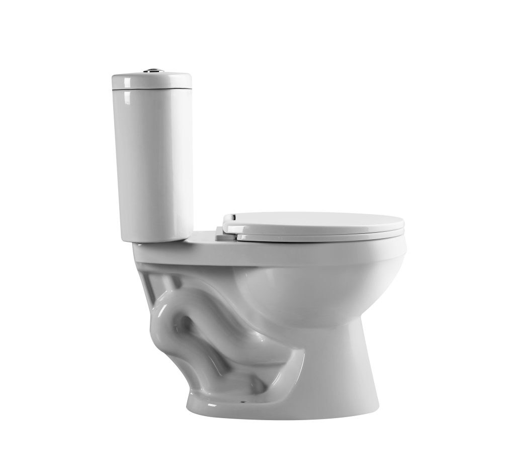 Ceramic siphonic and washdown ceramic toilet