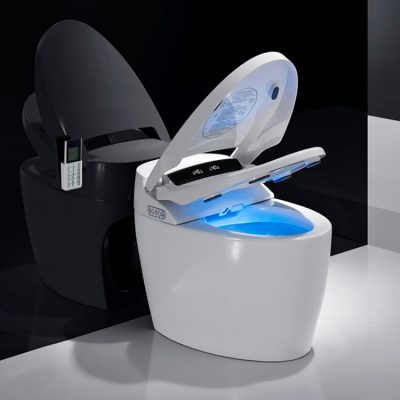 Luxury fashion modern sanitary smart toilet