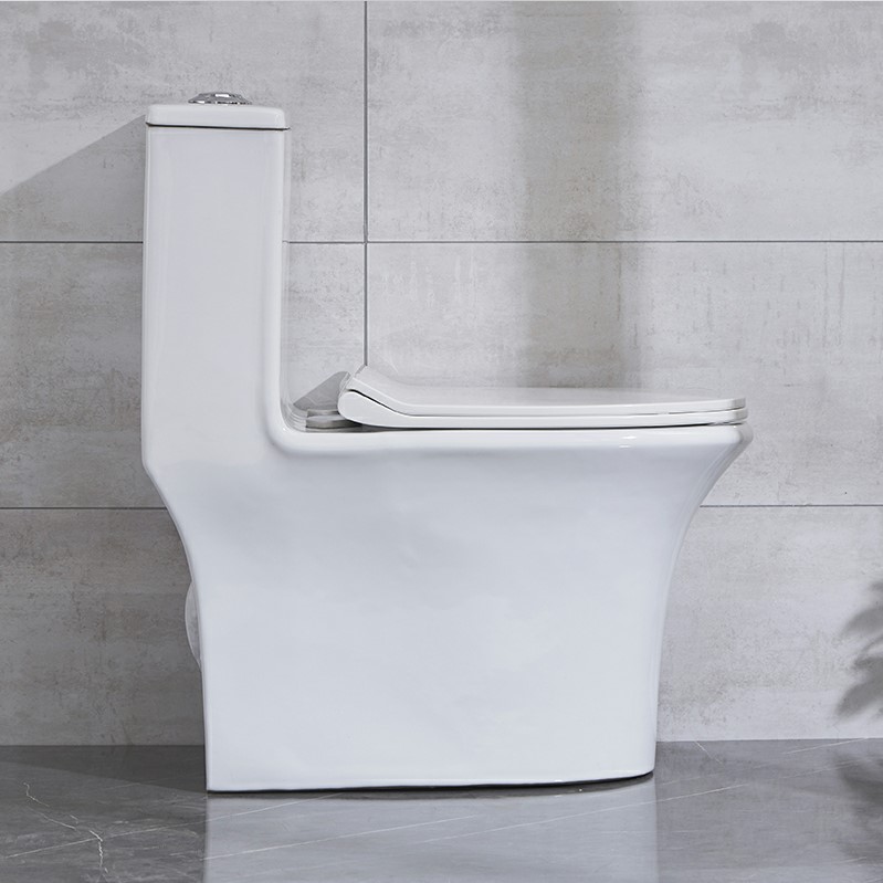 Water saving dual flush ceramic toilets